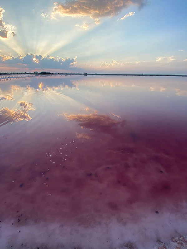 Розовое озеро на Западе Крыма фото